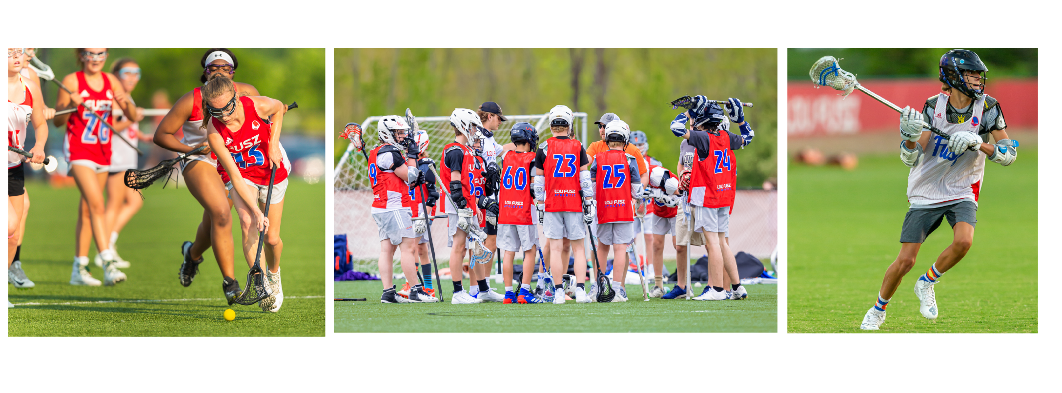 LACROSSE-COLLAGE-01 LACROSSE COLLAGE